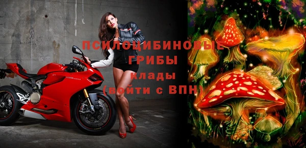 экстази Осинники