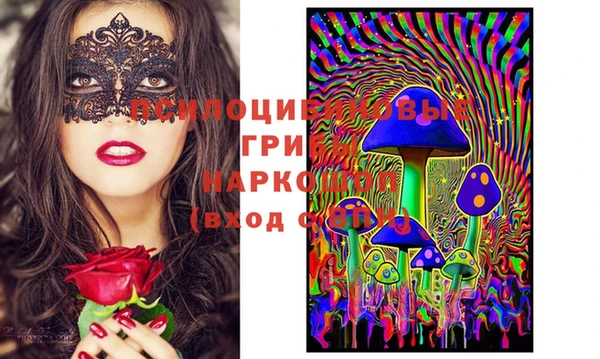 ГАЛЛЮЦИНОГЕННЫЕ ГРИБЫ Остров