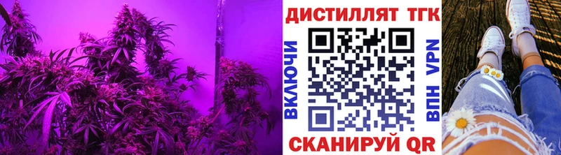 ТГК вейп с тгк Купить где Владивосток