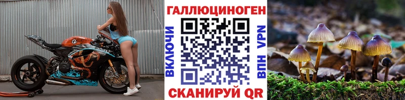 Псилоцибиновые грибы GOLDEN TEACHER  Купить закладки  Владивосток 